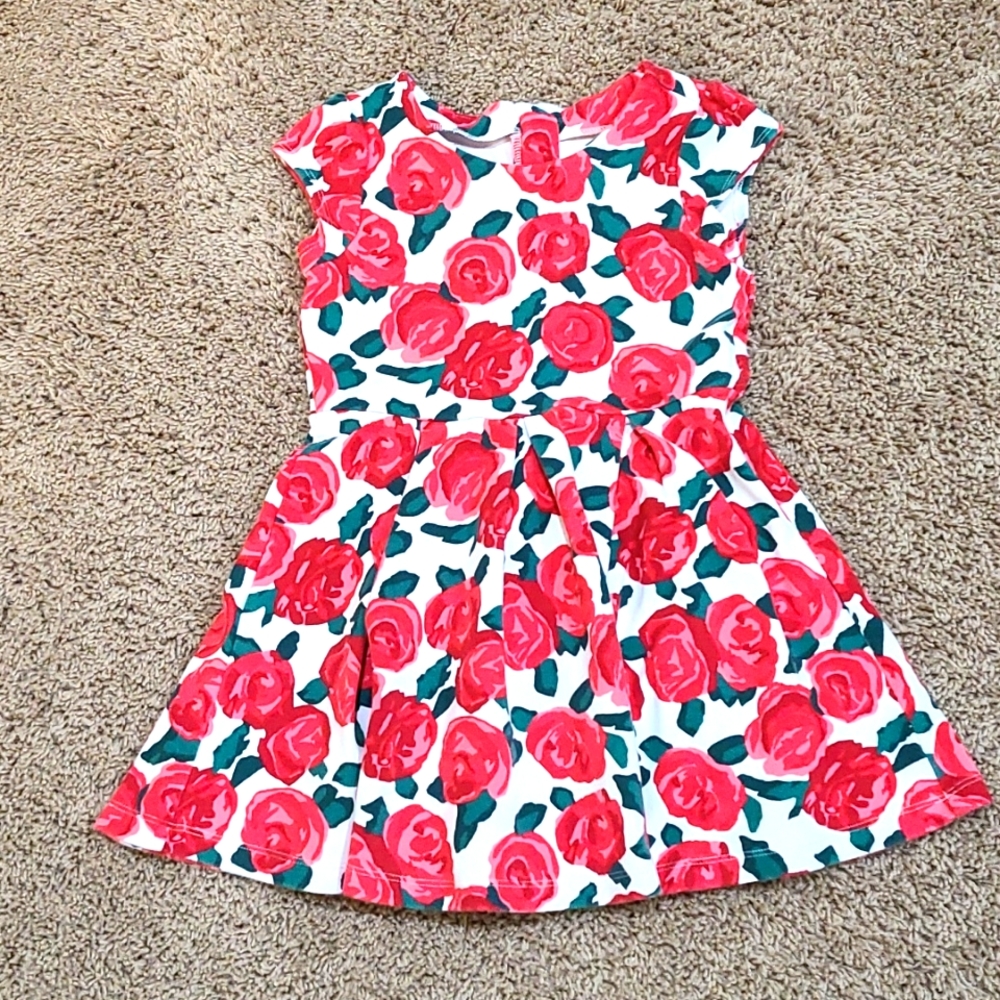 Gymboree Girls Floral Dress, Size 6
